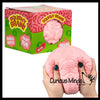 1 Jumbo Doh Filled Brain - Soft Stress Squishy Ball Funny
