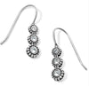 Twinkle Splendor French Wire Earrings