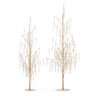 Dripping Pearl Trees