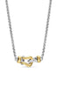 Petite Buckle Necklace