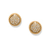 Illumina Celeste Dome Gold Earrings