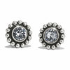 Twinkle Mini Post Earrings Media